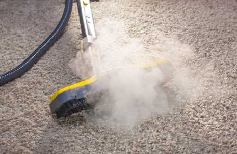 Steam Cleaning in Winnipeg - Carpet Cleaning & Upholstery