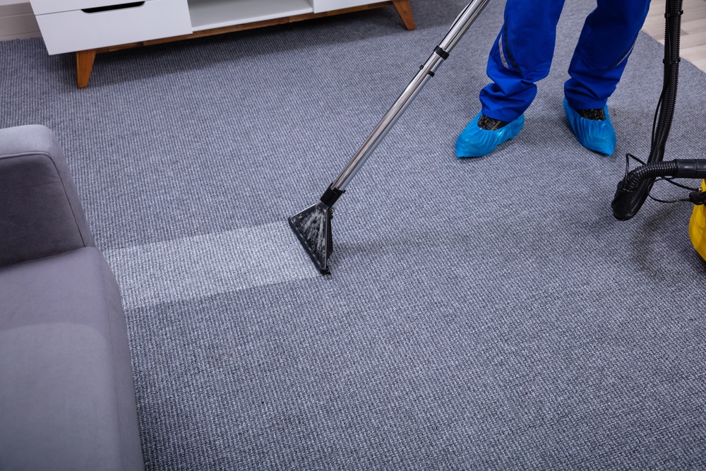 The Importance Of Regular Carpet Maintenance In Commercial Spaces